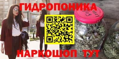 ешки Моздок