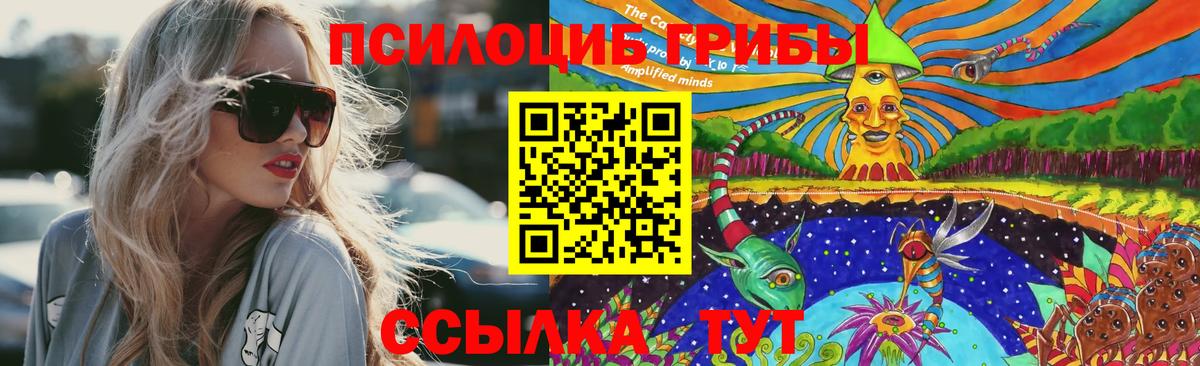 Галлюциногенные грибы Psilocybe  Вход с VPN  Маркс 